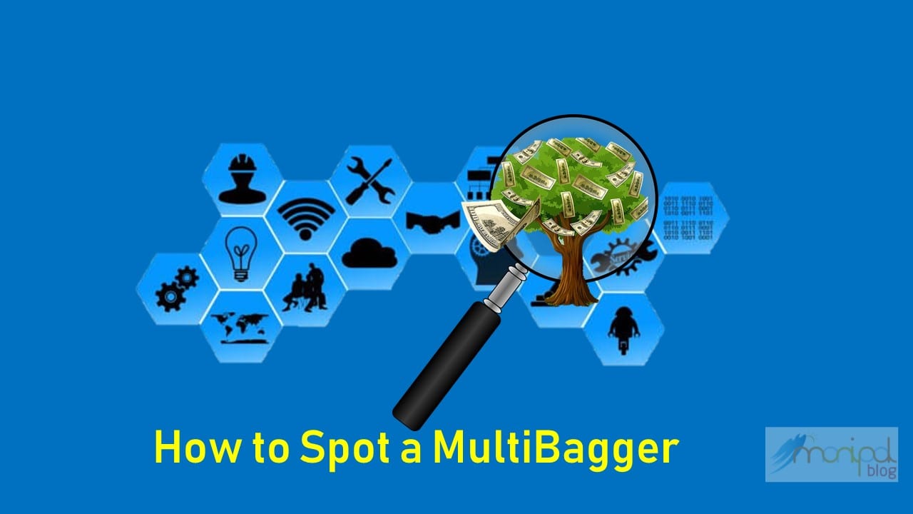 How to spot a multibagger