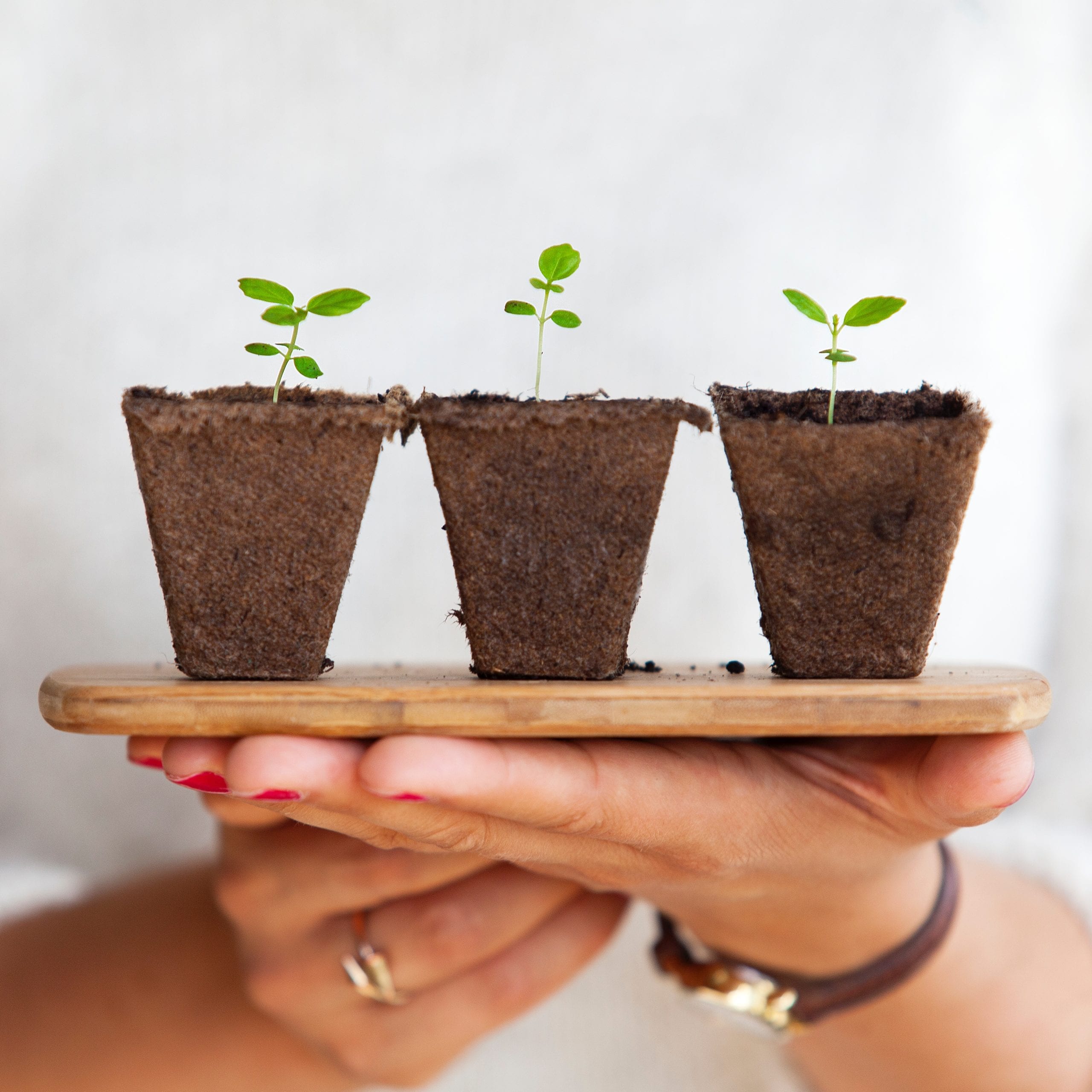 Financial Planning Guide For Beginners