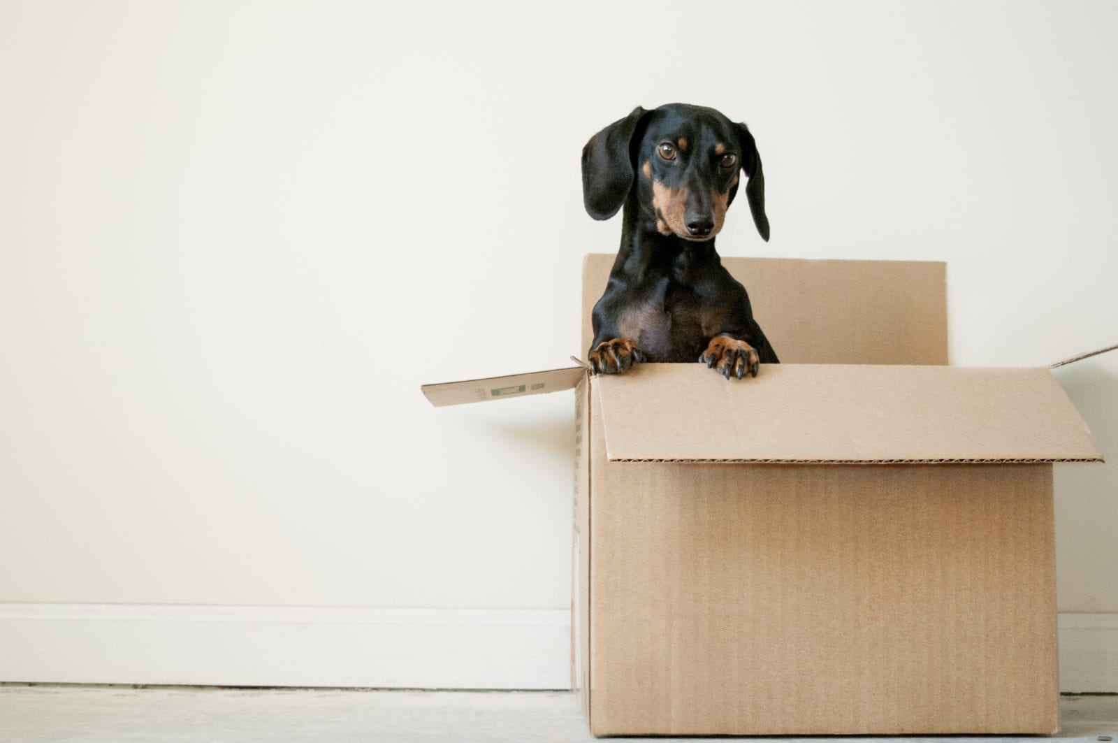 Money Saving Tips While Moving to a New House